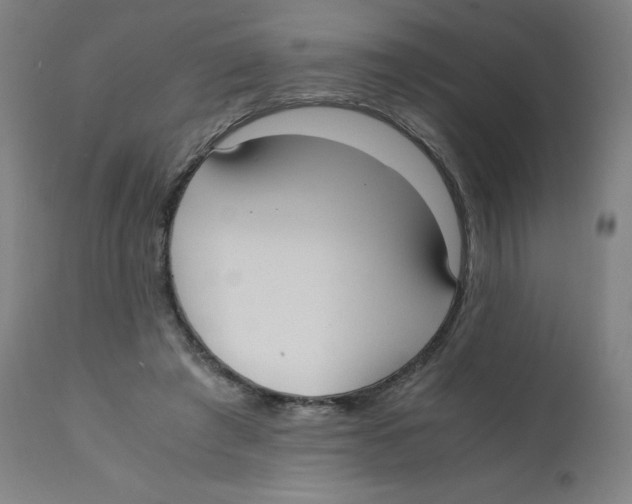 X0000111880401200908201302