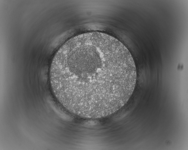 X0000111880402200908201302