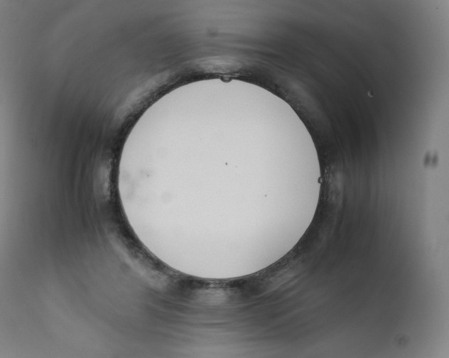 X0000111880404200908201302