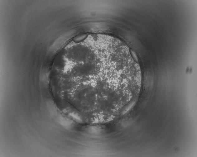 X0000111880405200908201302
