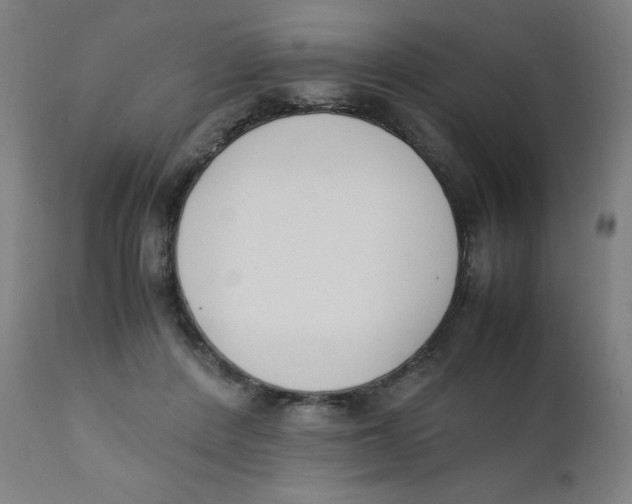 X0000111880408200908201302