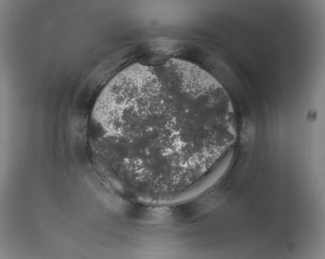 X0000111880409200908201302