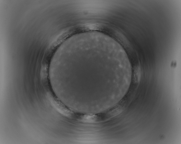 X0000111880410200908201302