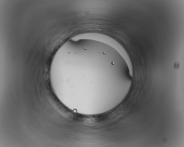 X0000111880411200908201302