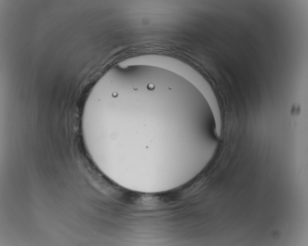 X0000111880413200908201301