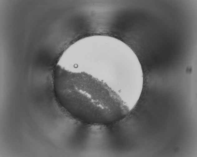 X0000111880415200908201301
