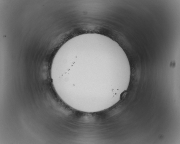 X0000111880416200908201301