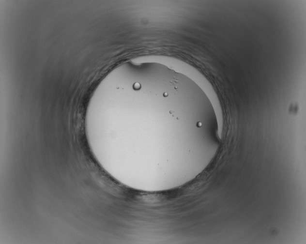 X0000111880417200908201301