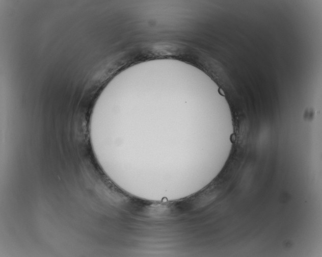 X0000111880418200908201301