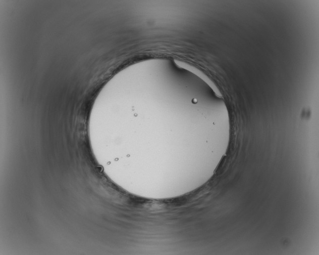 X0000111880419200908201301