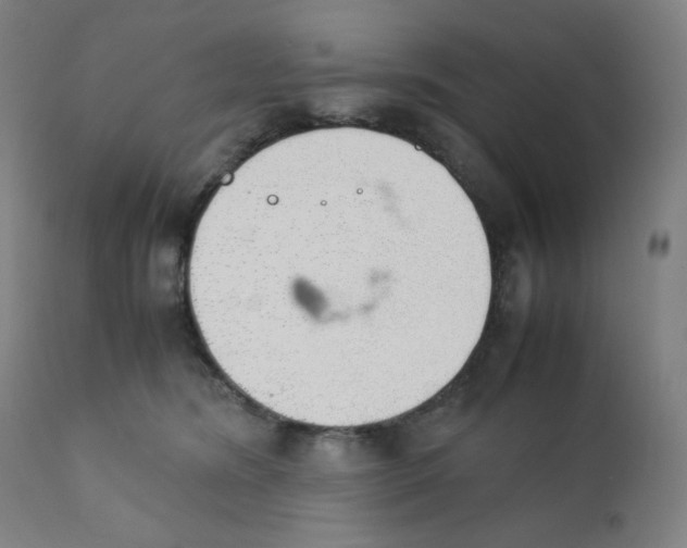 X0000111880420200908201301