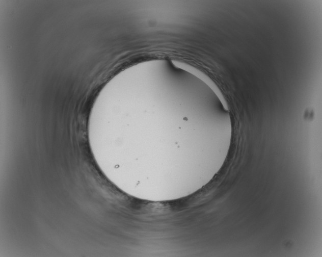 X0000111880421200908201301