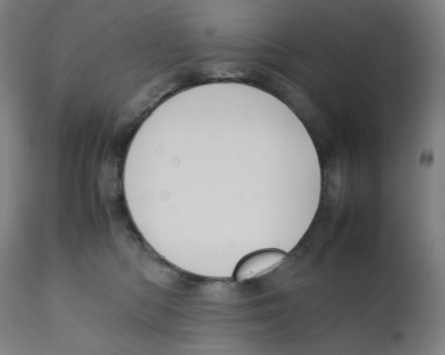 X0000111880422200908201301