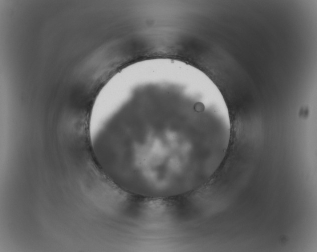 X0000111880423200908201301