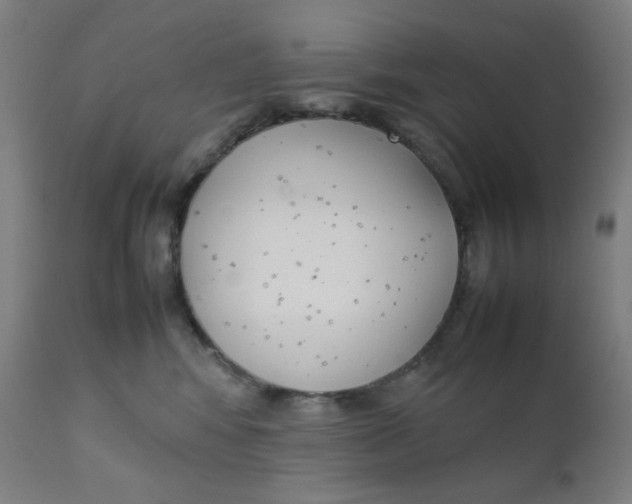 X0000111880424200908201301
