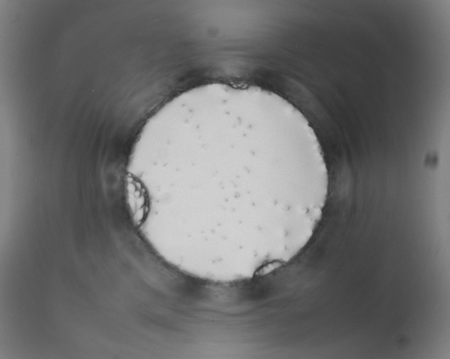 X0000111880425200908201301