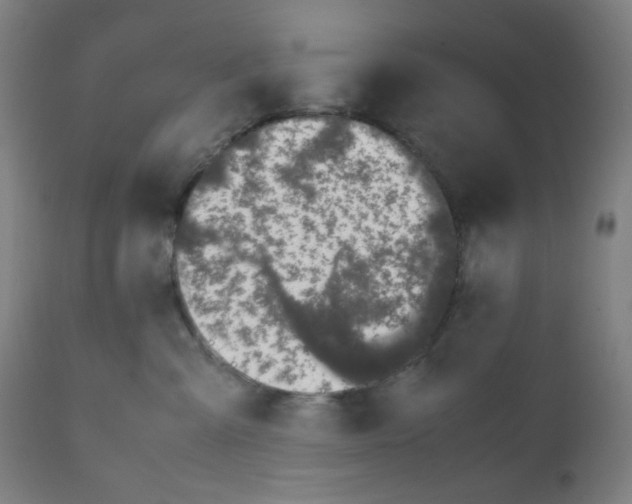 X0000111880427200908201301