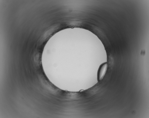X0000111880428200908201301