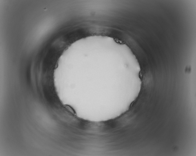 X0000111880429200908201301