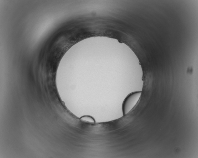 X0000111880430200908201301