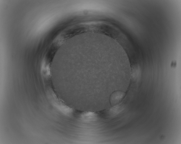 X0000111880431200908201301