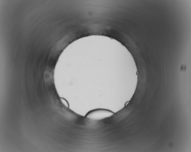 X0000111880432200908201301