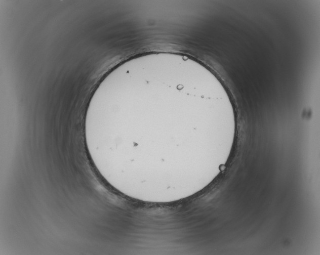 X0000111880433200908201301