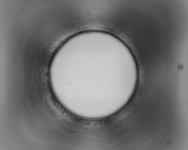 X0000111880434200908201301