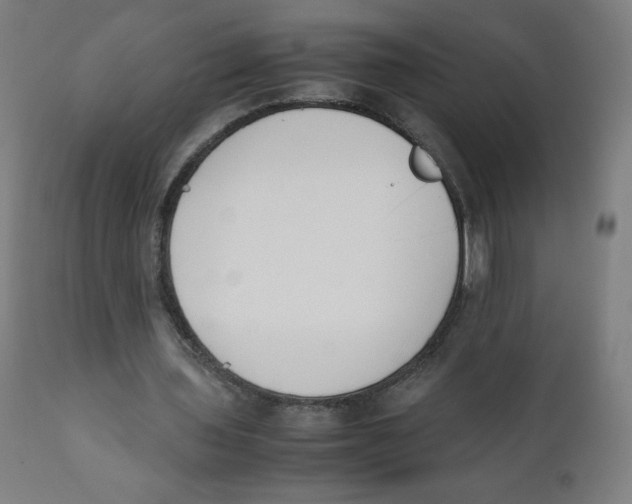 X0000111880435200908201301