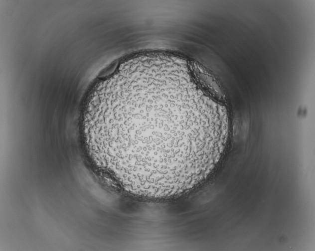 X0000111880436200908201301