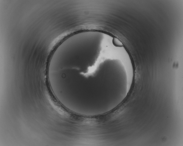 X0000111880438200908201301