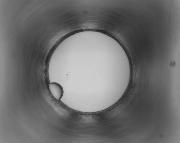 X0000111880439200908201301