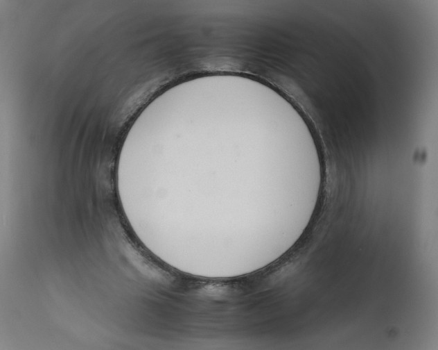 X0000111880441200908201301
