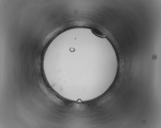 X0000111880442200908201301