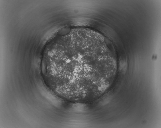 X0000111880444200908201301