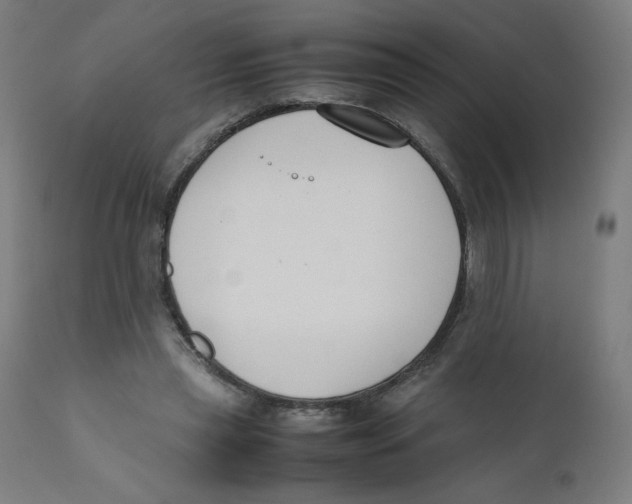 X0000111880445200908201301
