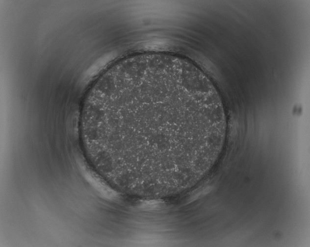 X0000111880446200908201301