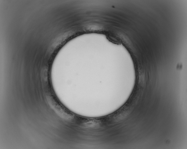 X0000111880447200908201301