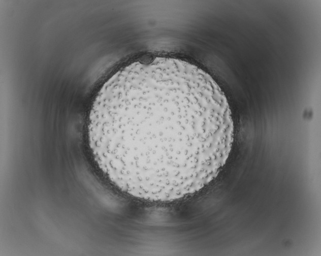 X0000111880448200908201301