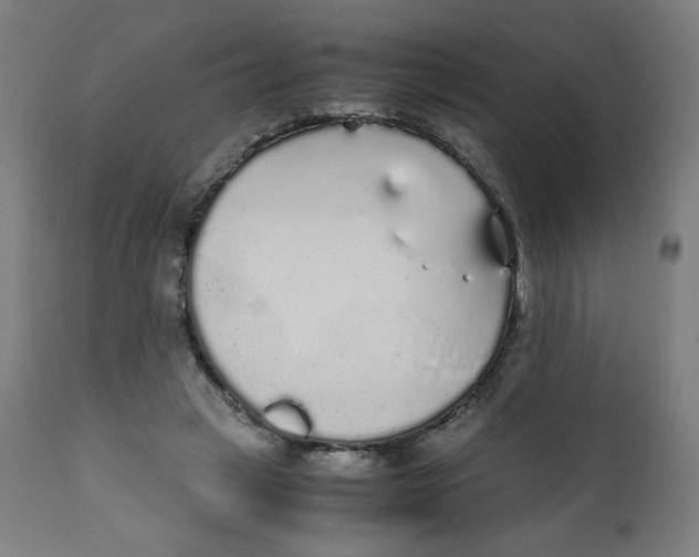 X0000111880449200908201301