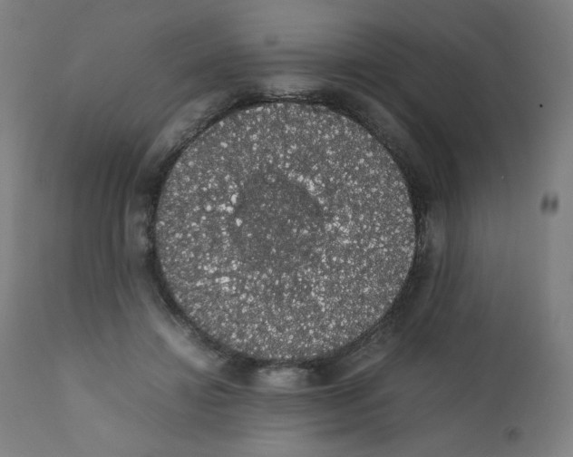 X0000111880452200908201301