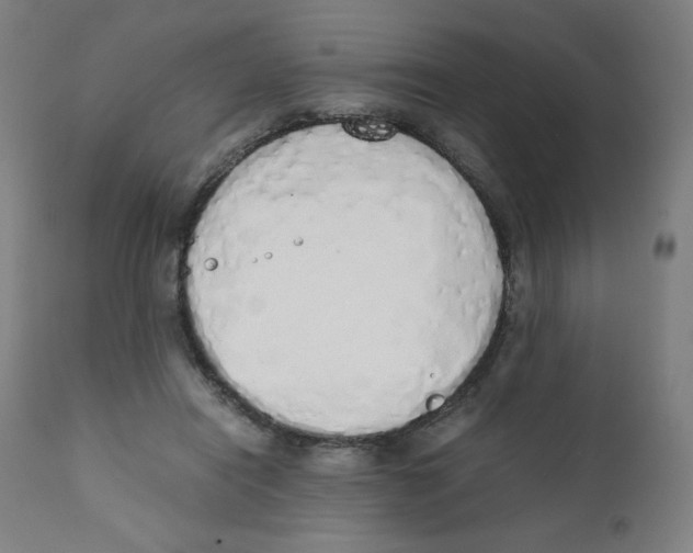 X0000111880454200908201301