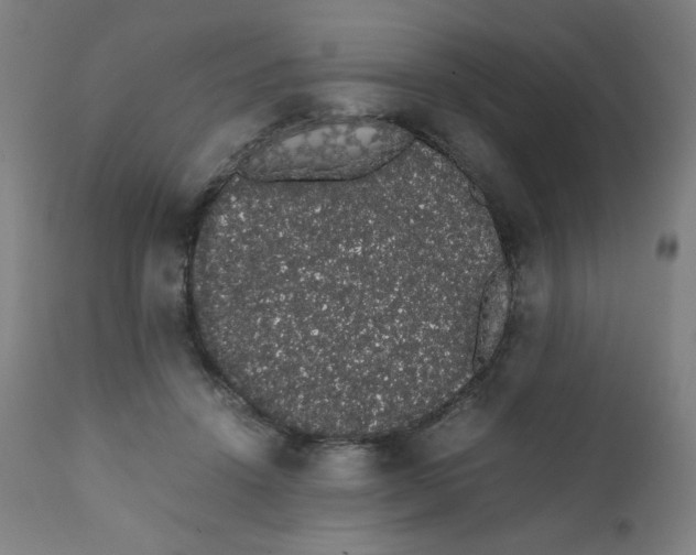 X0000111880456200908201301