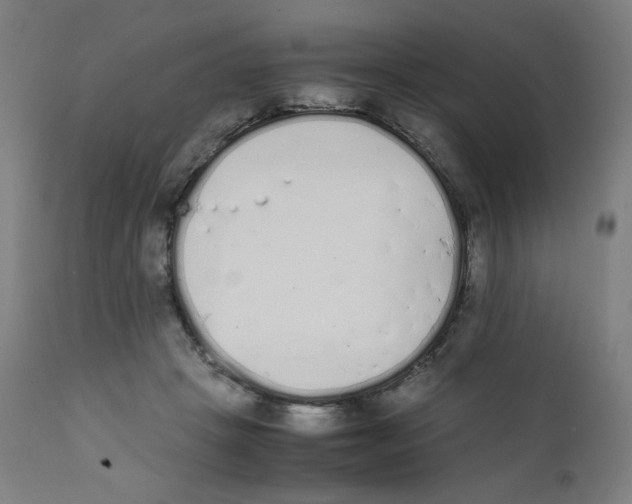 X0000111880457200908201301