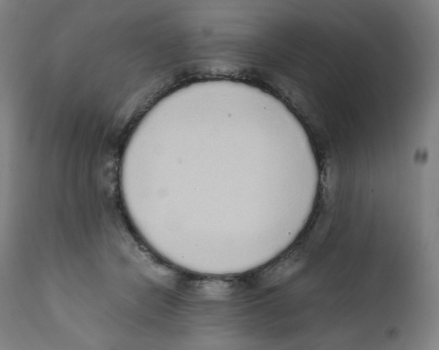 X0000111880462200908201301