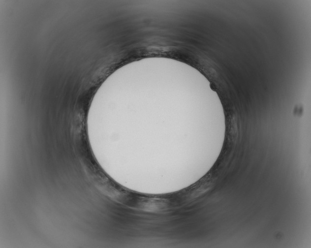 X0000111880463200908201301