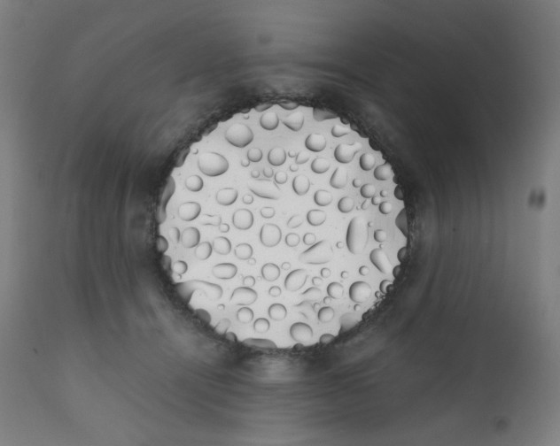 X0000111880464200908201301