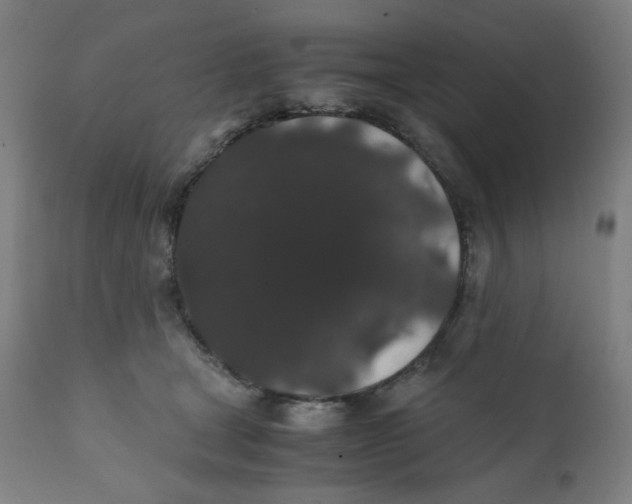X0000111880465200908201301