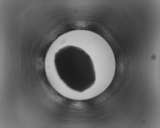 X0000111880467200908201301