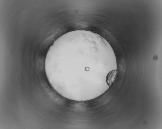 X0000111880468200908201301